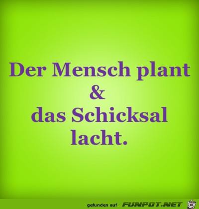 der mensch plant der mensch plant