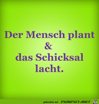 der mensch plant 