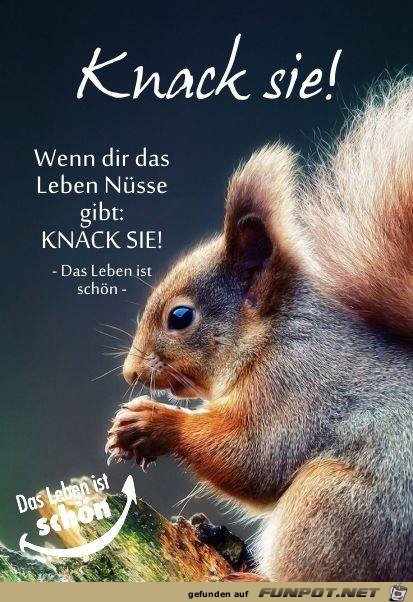 Knack sie Knack sie