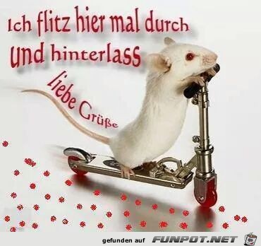 Flitz mal durch Flitz mal durch