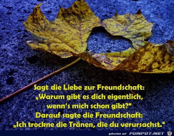 sagt die liebe zur freundschaft