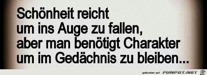 Schönheit Schönheit