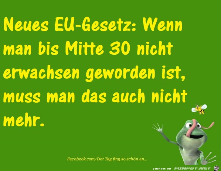 EU-Gesetz EU-Gesetz