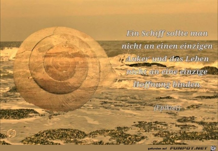 Schiff Schiff