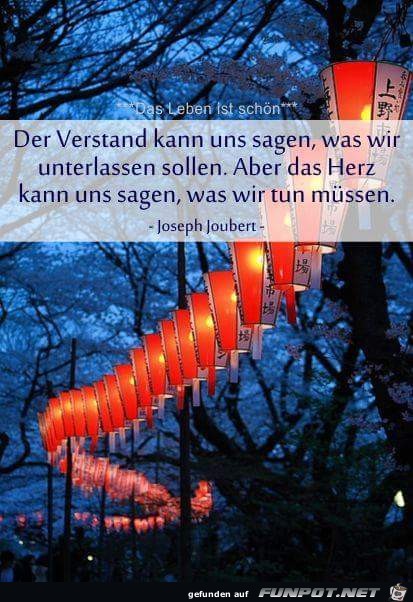 der Verstand kann uns sagen der Verstand kann uns sagen