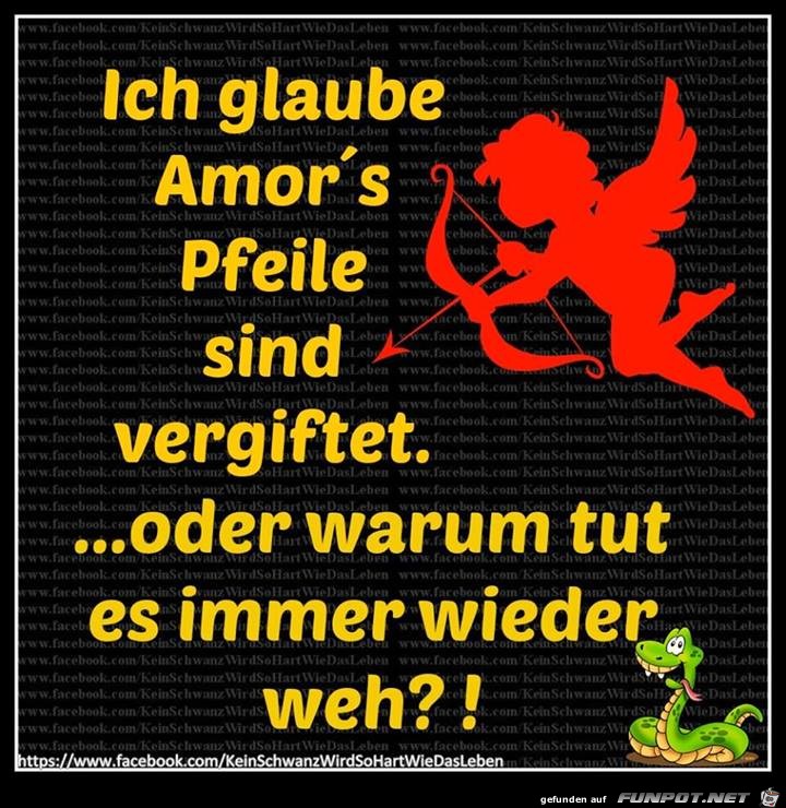 Pfeil Pfeil