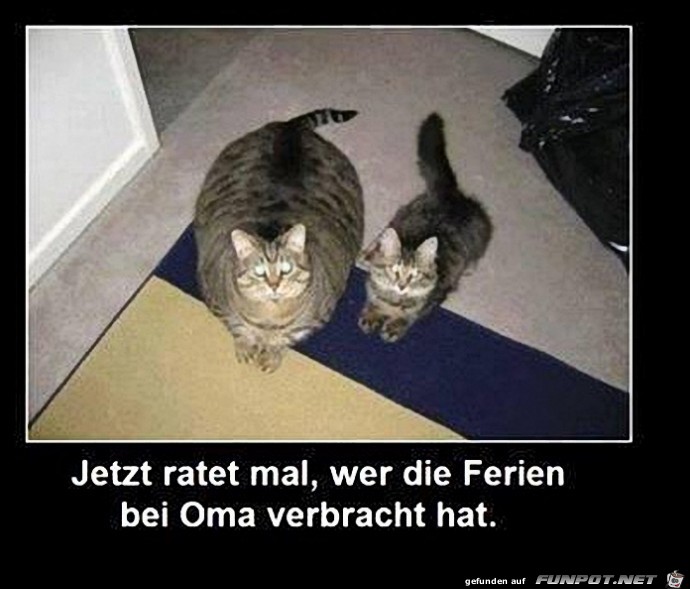 Oma Oma