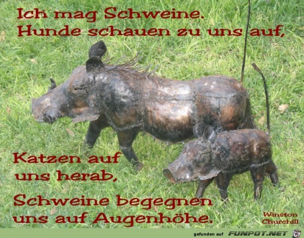 IMG 2374-93 IMG 2374-93