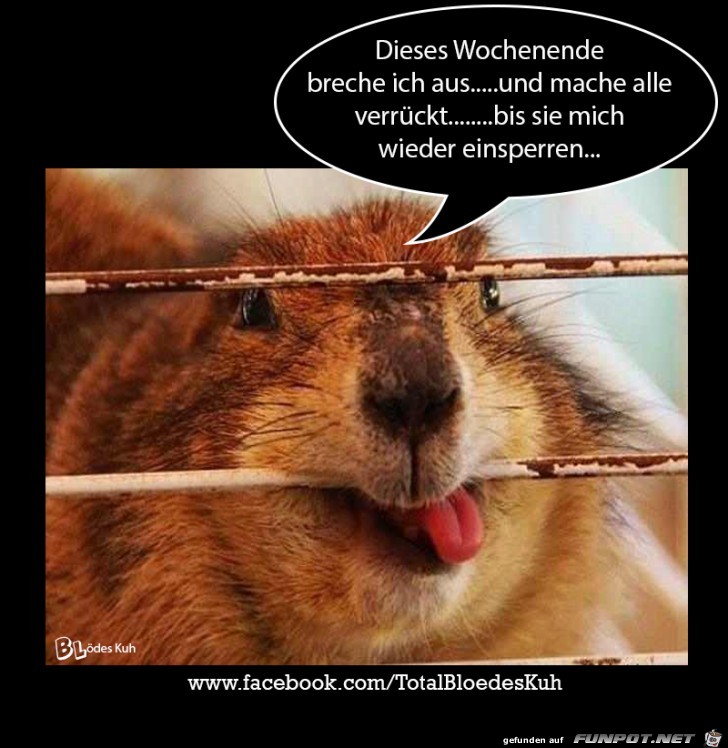 Dieses Wochenende