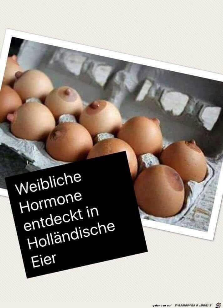 weibliche Hormone weibliche Hormone