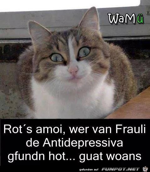 Ratet mal wer vom Frauerl die Antidepressiva gefunden hat