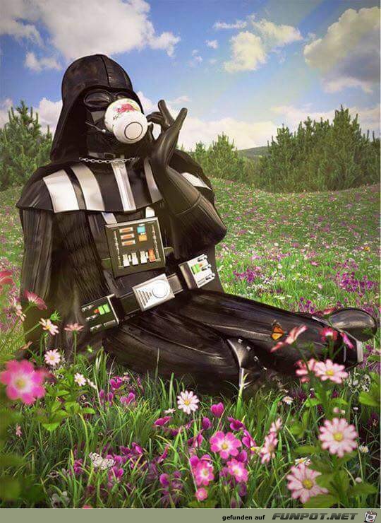 Darth Vader im Fruehling