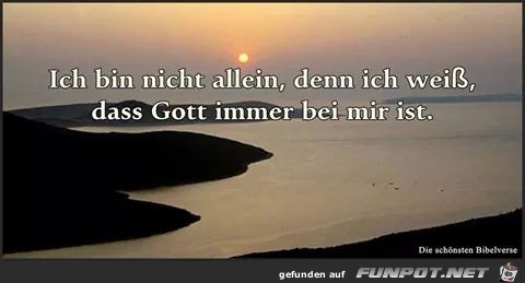 Nicht Allein Nicht Allein