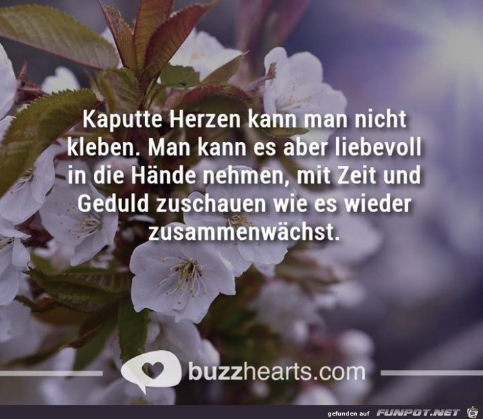 kaputte Herzen