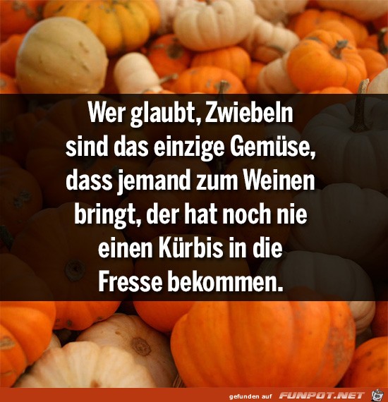 zwiebeln zwiebeln