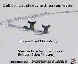 Fruehling Fruehling