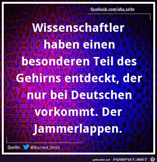 Wissenschaftler Wissenschaftler