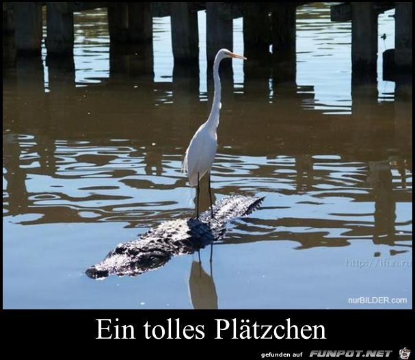 ein tolles Plaetzchen