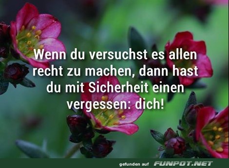 10 sch�ne Spr�che und Lebensweisheiten aus...