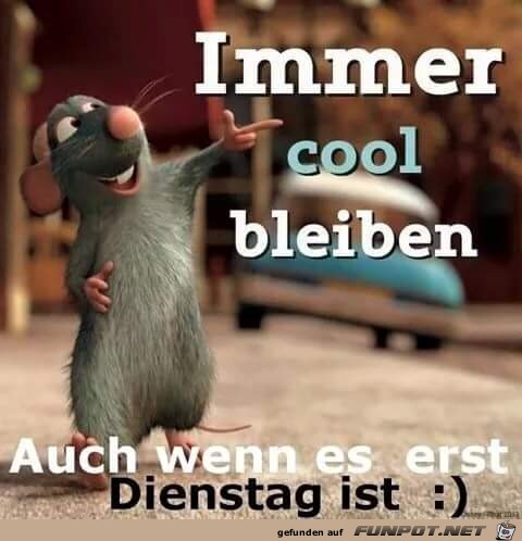 Immer cool bleiben