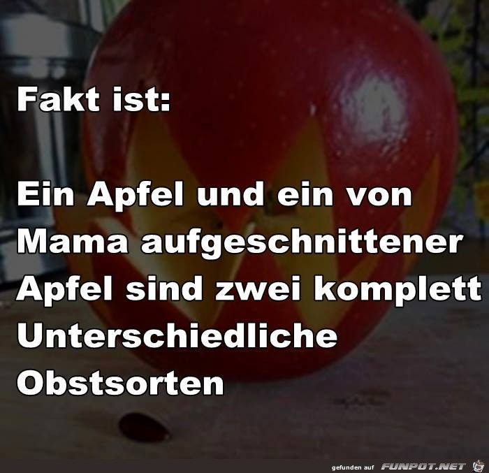 Fakt ist Fakt ist