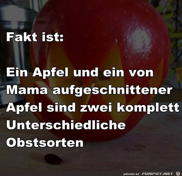 Fakt ist 