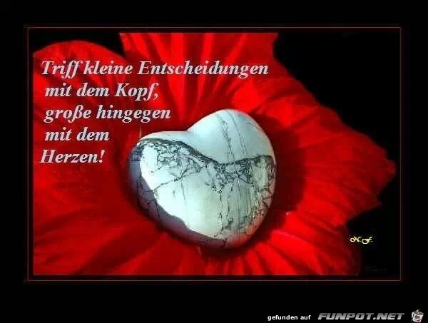 Triff kleine Entscheidungen... Triff kleine Entscheidungen...