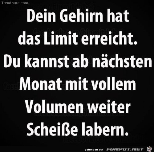 Dein Gehirn hat... Dein Gehirn hat...