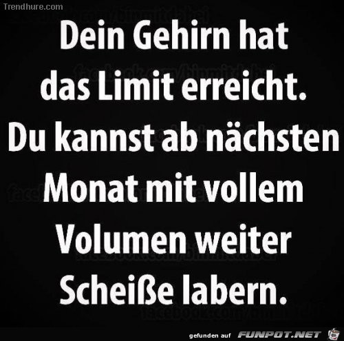 Dein Gehirn hat...