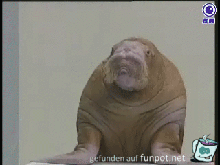 gif sehr interessant