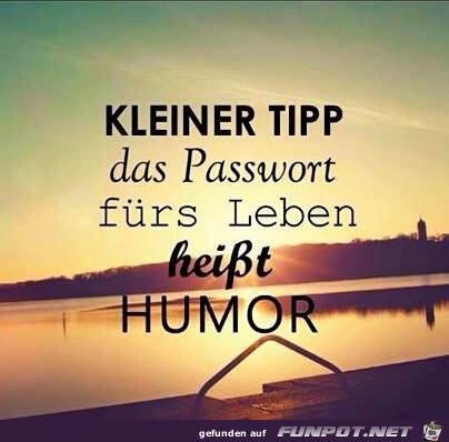 Humor Humor