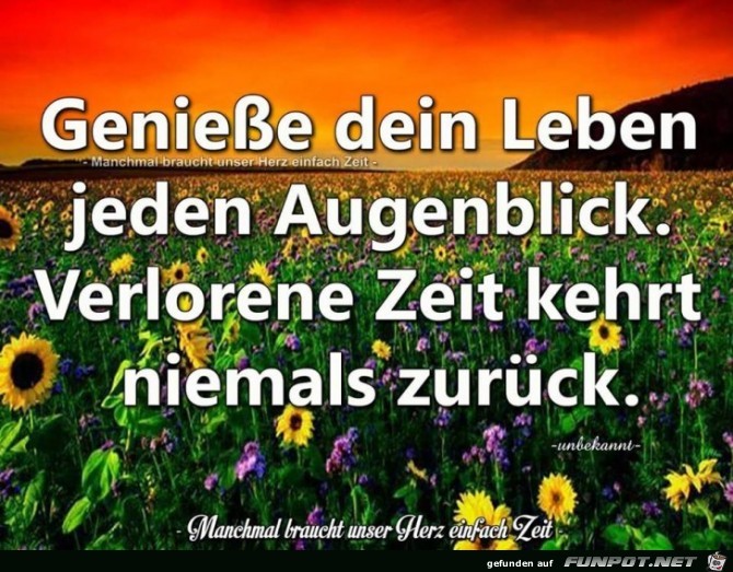 Geniesse dein Leben Geniesse dein Leben