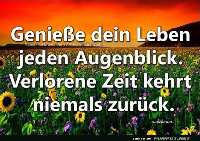 10 sch�ne Spr�che und Lebensweisheiten aus...
