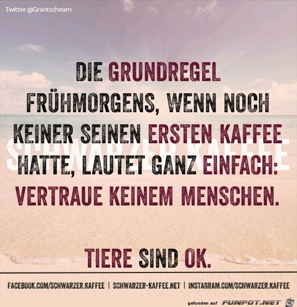 Grundregel morgens Grundregel morgens