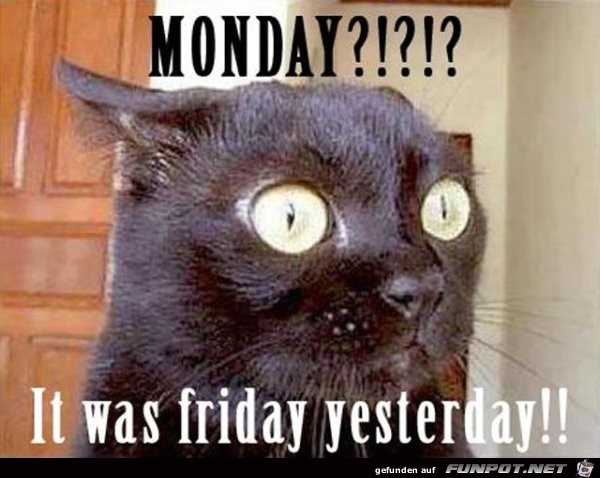 Montag Montag