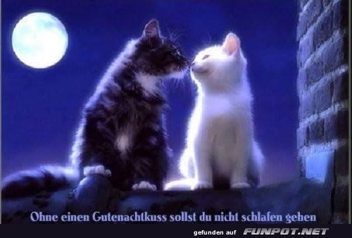 herzige Tierbilder herzige Tierbilder