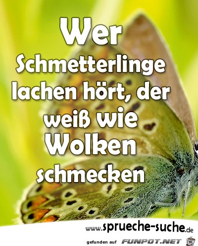 wer-schmetterlinge-lachen-hoert-der-weiss-wie-wolke