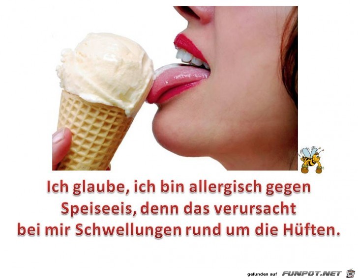 Speiseeis Speiseeis