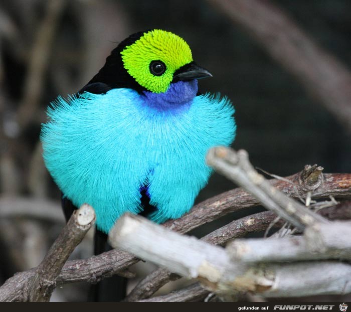 Farben, die nur Mutter Natur selbst schaffen kann ....