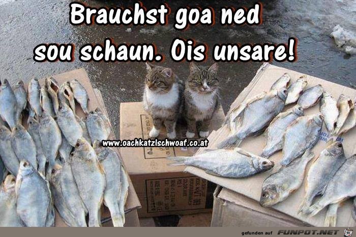 Brauchst gor net so schaun