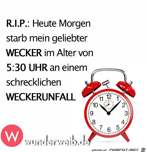 Heute Morgen