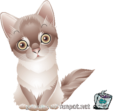 9katze 9katze