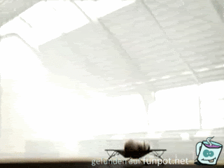 13572 006 13572 006