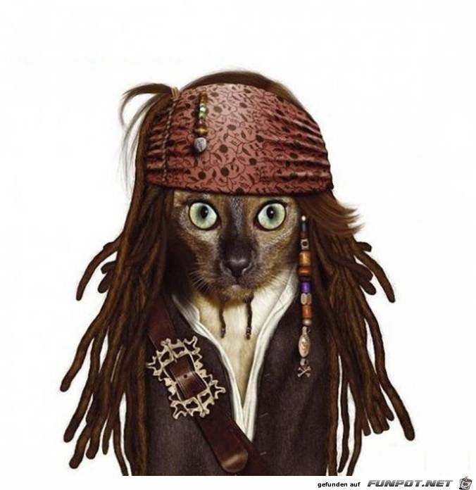 Captain Jack Sparrow 
