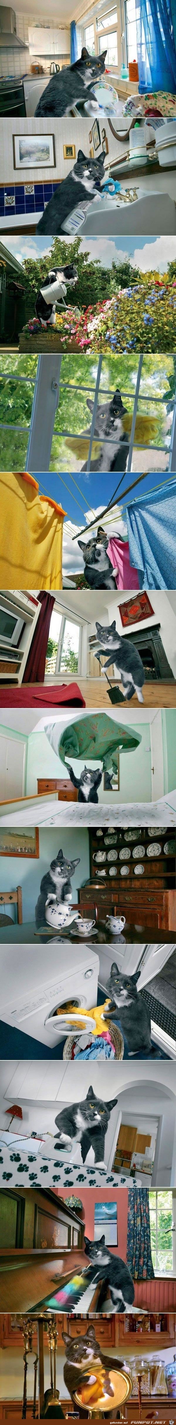 That s my Pussy That s my Pussy