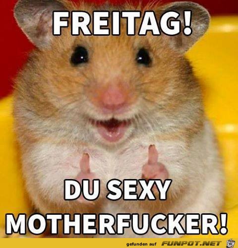 Freitag Freitag