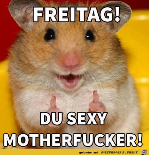 Freitag