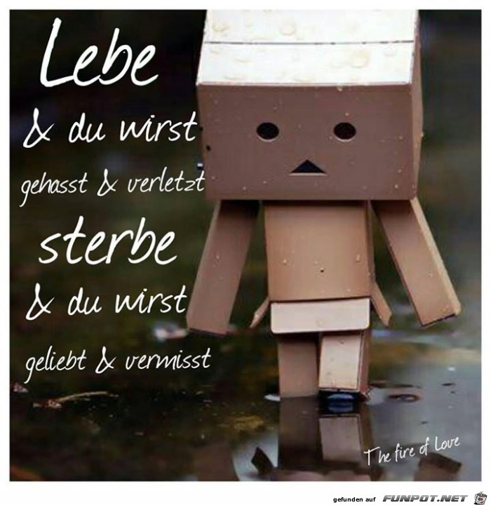 Lebe