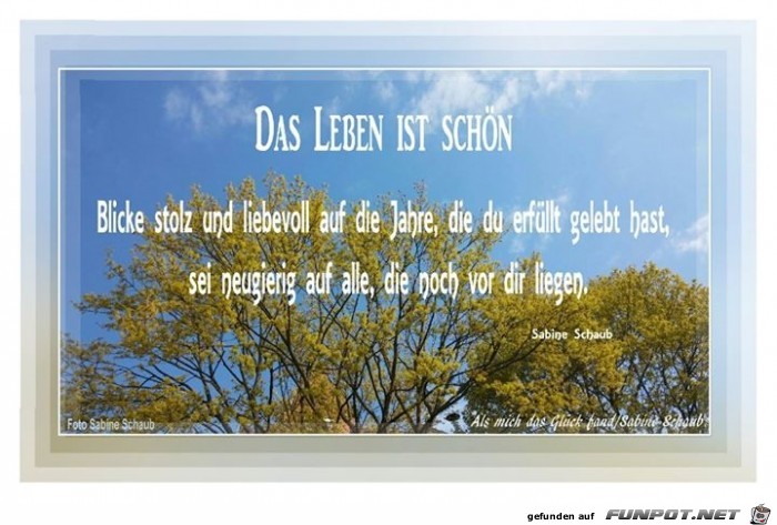 das leben ist schoen