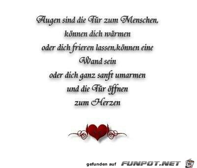 augen augen